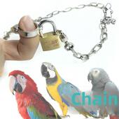 饲养者大型鹦鹉鸟类不锈钢脚炼脚环坚固耐咬锁头 包邮
