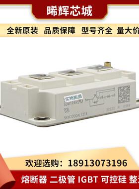 SKM300GAL12T4 SKM300GAL12E4 功率半导体IGBT 晶闸管 电子元器件