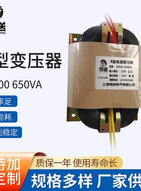 R型电源变压器R-600 650VA小型立式变压器干式隔离变压厂家供应