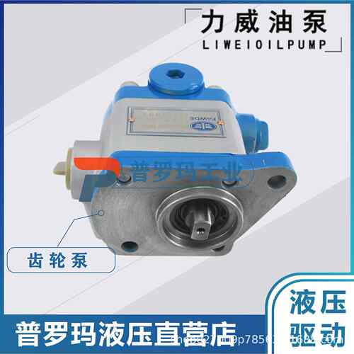 合肥力威汽车转向液压油泵QC16/13-6DF2D客车汽车动力泵转向油泵