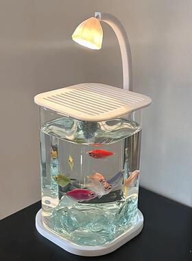 斗鱼鱼缸桌面装饰摆件造景玄关客厅旺宅高级感治愈系解压创意小众