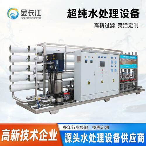 工厂直供20吨双级反渗透RO膜设备+EDI超纯水机器加输送系统高纯水