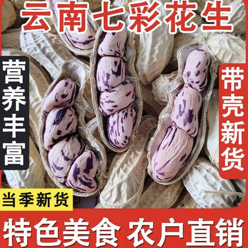 七彩花生云南特产带壳晒干2026新货酥脆花生水煮原味咸干五彩花生