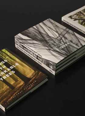 包邮OPEN大树系列大开本摆场摄影真书样板间会所侘寂风现代抽象