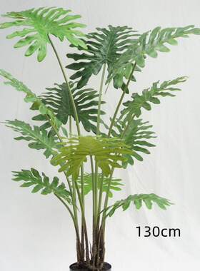 含阳仿真绿植春芋大型绿植摆件家居装饰民宿北欧简约落地盆景