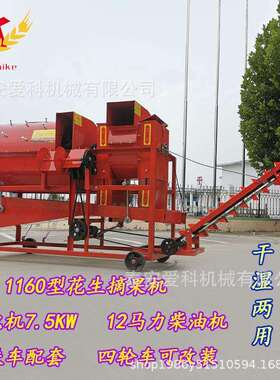 干湿两用自动装袋摘果机中型1160型花生摘果机打花生秧机家用
