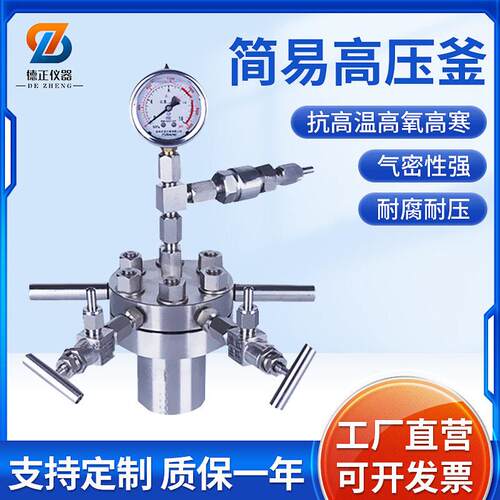 德正仪器小型简易不锈钢反应釜25ml-0.5L氢化压反应釜磁力搅拌