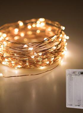 Holiday lights Christmas lights LED copper wire light string