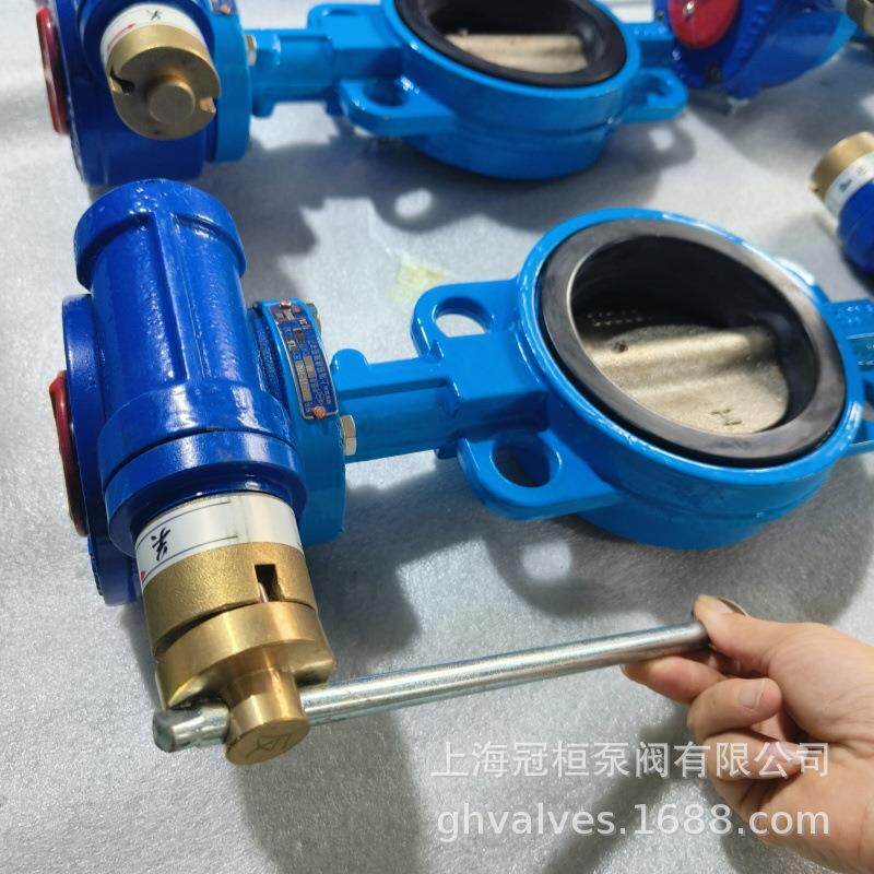 手防盗对夹阀钥匙密带锁加锁闭蝶阀FD371X-1蝶6Q DN335动600