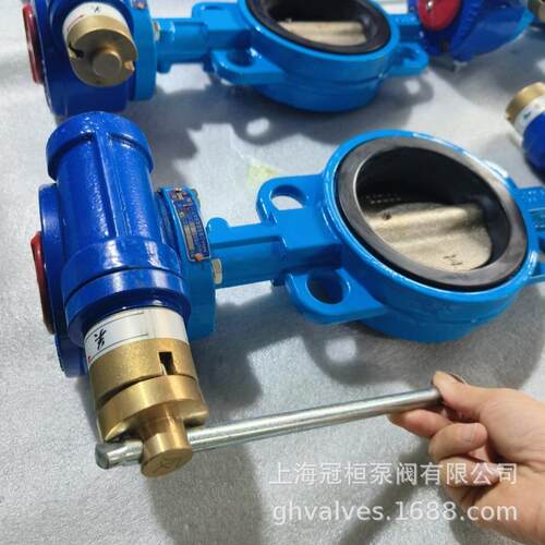 F371X-6Q DDN46550球墨1铁软密封对夹防盗蝶铸阀加密蝶阀