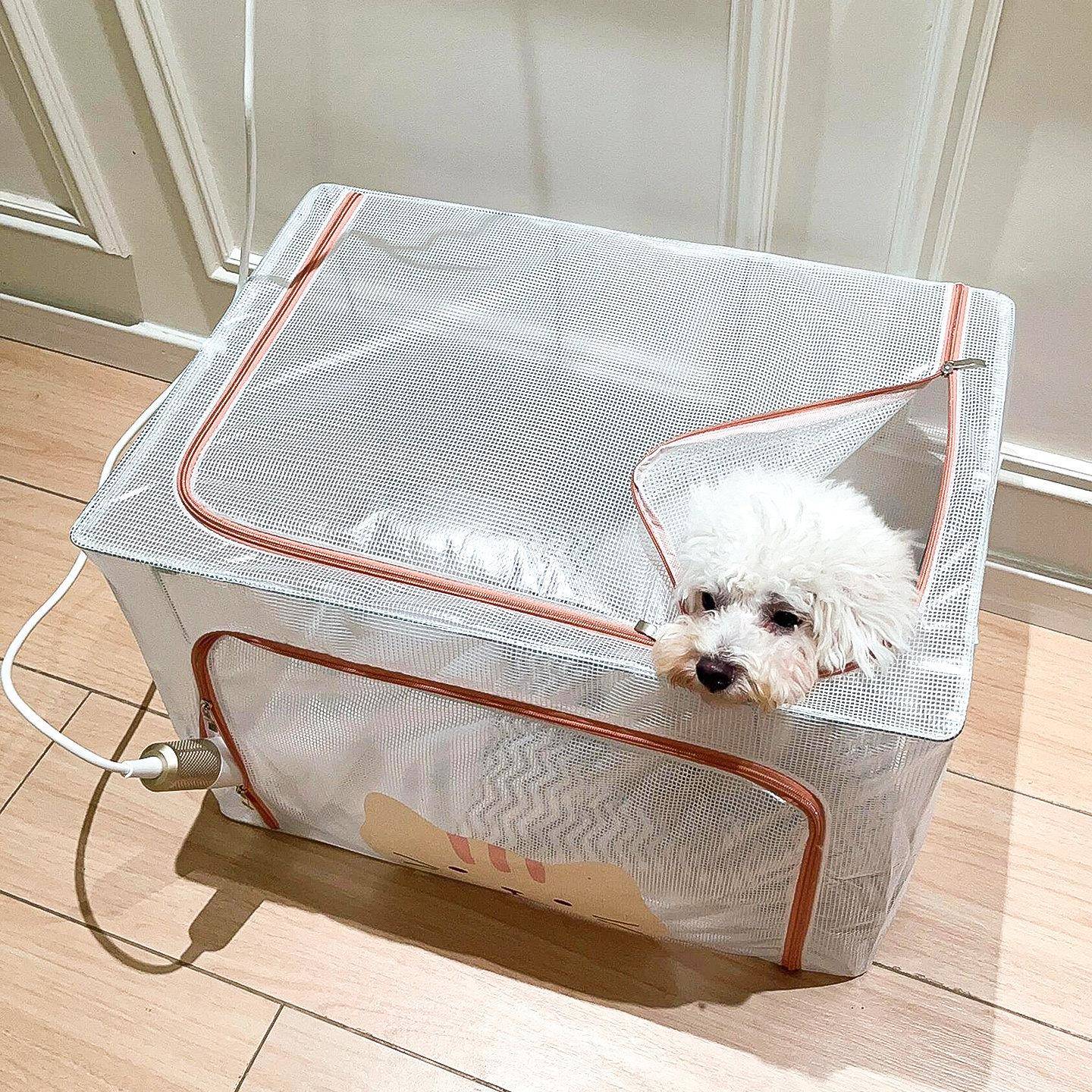 宠物烘干箱猫咪狗狗小型犬洗澡吹毛烘干神器家用吹风机箱猫狗通用