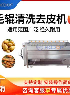土豆清洗去皮机芋头胡萝卜毛辊清洗机全自动果蔬清洗分选加工产线