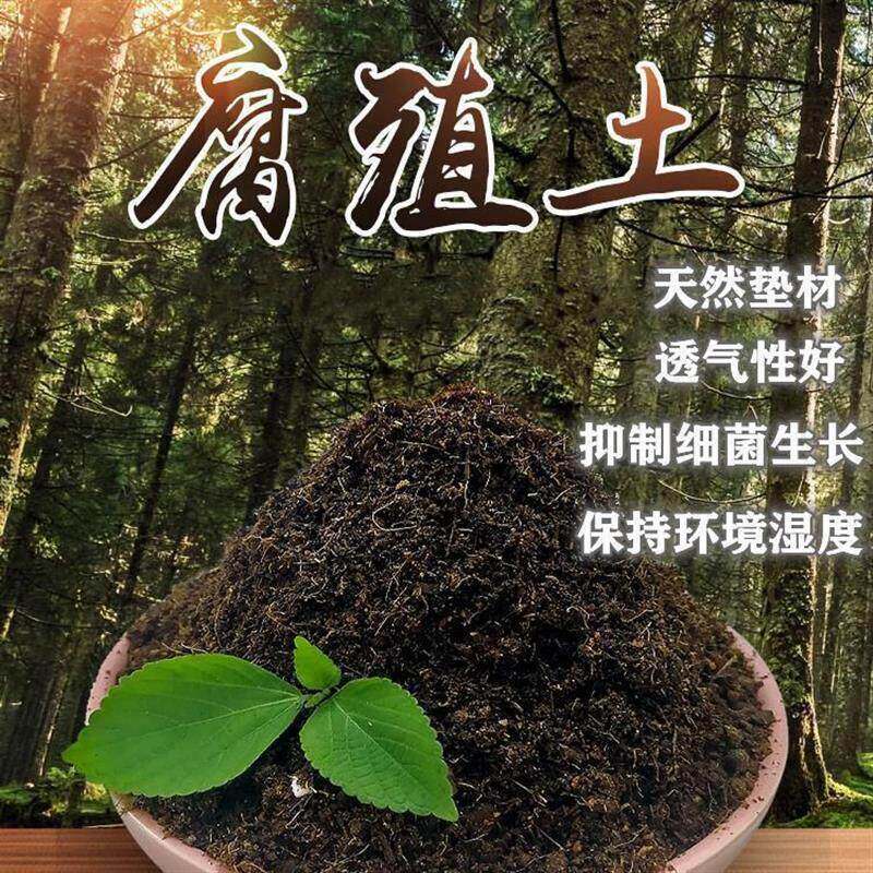 爬宠垫材腐殖土泥炭土蜥蜴角蛙泥椰土森林地表爬虫陆龟黄缘土壤