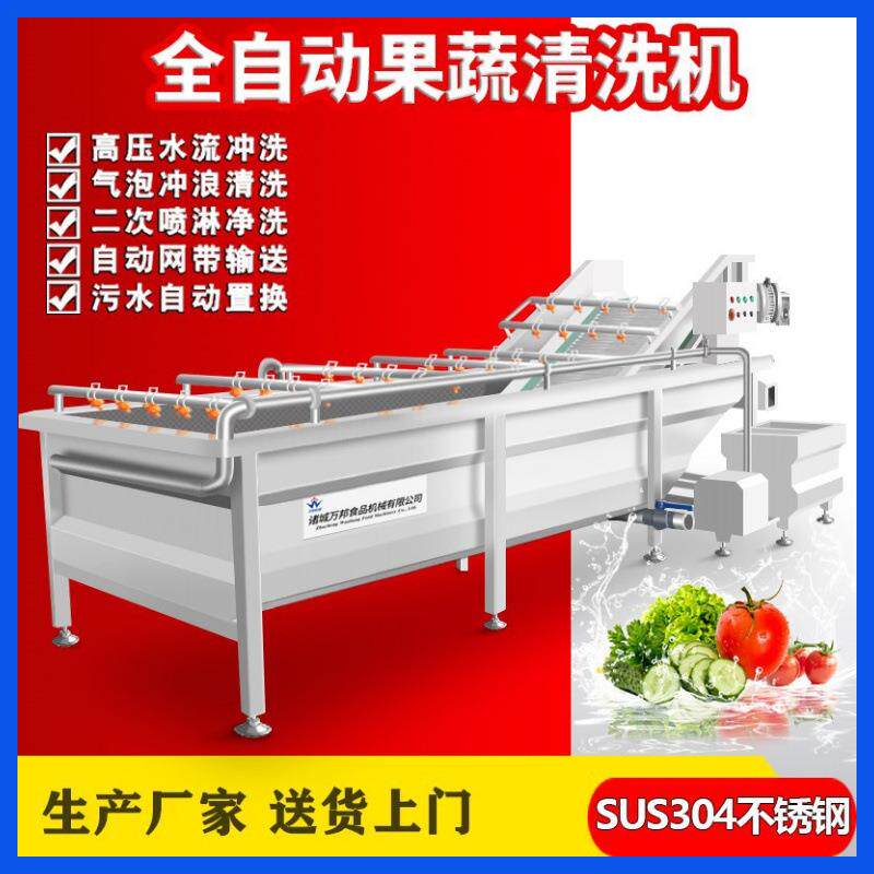 香椿芽清洗机 现货小茄子清洗机 不锈钢蔬菜配送番柿清洗设备