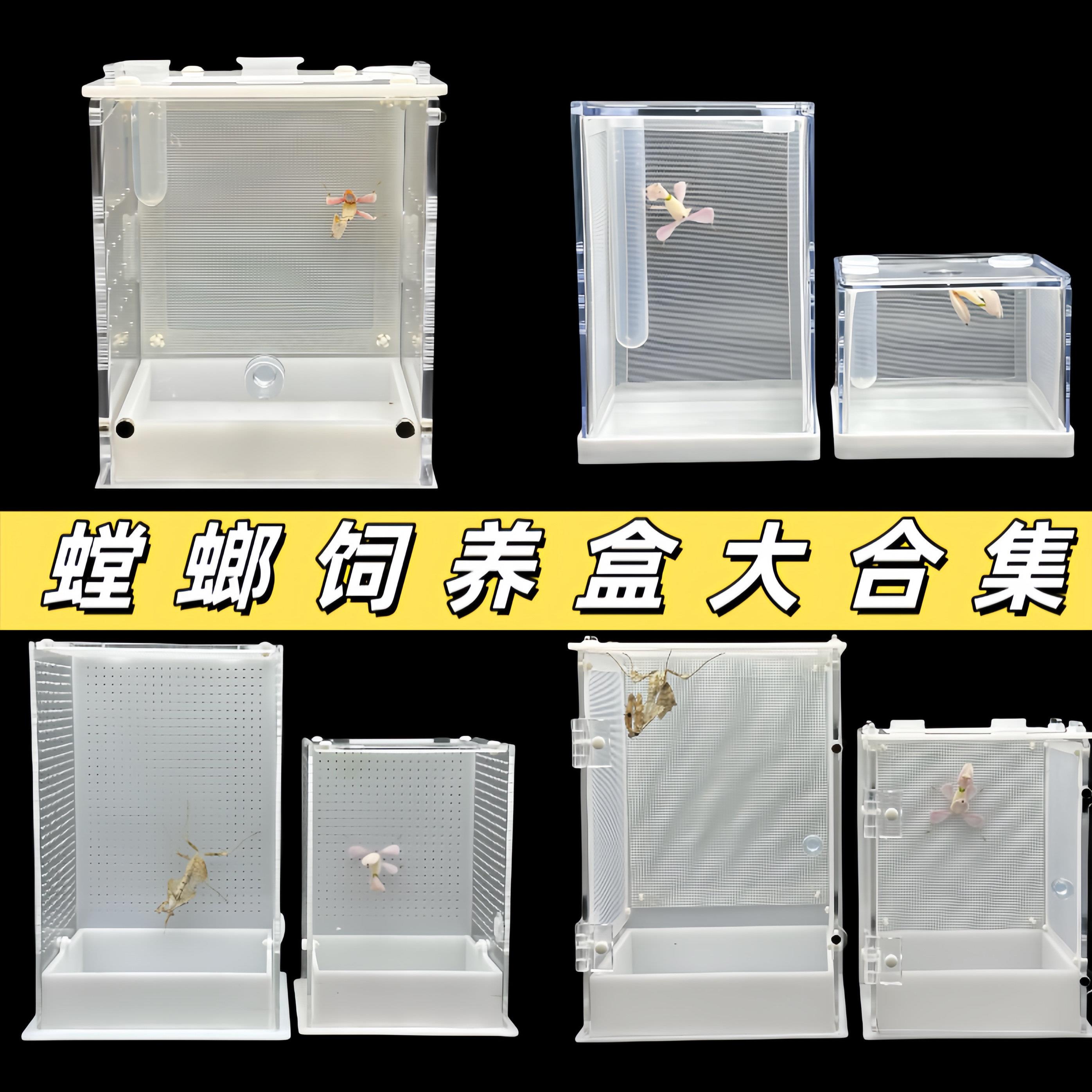螳螂饲养盒磁吸开门造景活体昆虫树蛙爬虫鸣虫跳蛛宠物饲养箱箱网