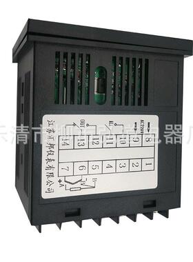 供应WP-D823-0223-2H2L-P江苏汇邦智能双回路测控仪显示控制仪