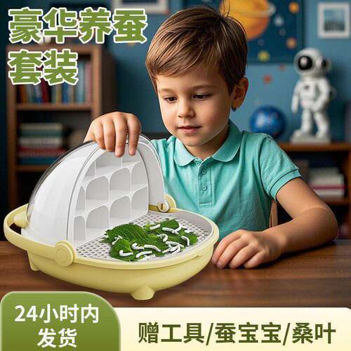 科学桑叶蚕养殖太空舱儿童昆虫观察盒学生套装养育蚕实验饲养