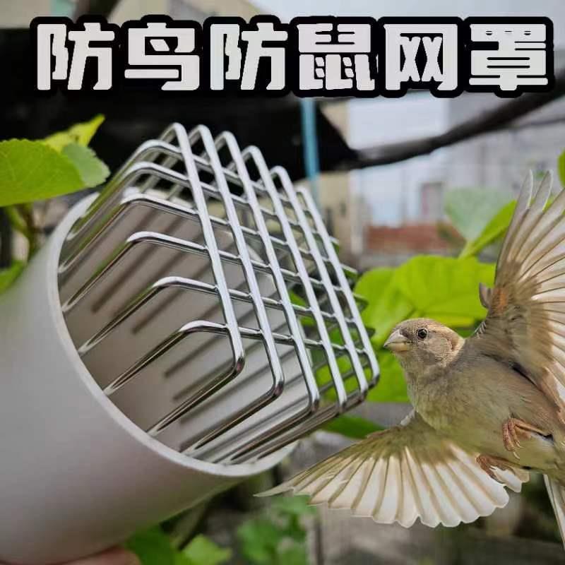 304防鼠鸟网罩卫生间排气管通风口油烟口PVC下水管道过滤地漏网罩