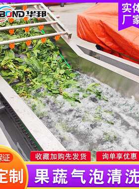 供应机果蔬泡清洗 全自 动OLK喷淋式清洗机不锈钢气清洗流水线