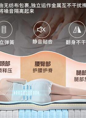 人弹簧床垫20cm厚双人垫1.5m1.8米酒店家用乳胶软垫椰棕硬垫床