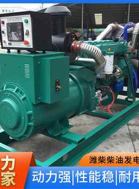 250KW潍柴发力电机组 油发电机 动强柴 厂家直供