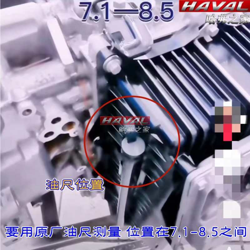 适用哈弗F7H6魏派vv5vv6vv7变速箱量油尺7DCT变速箱油位测量工