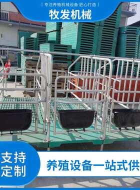 母猪定位栏热浸锌限位栏落地式养殖妊娠母猪限位河南厂家