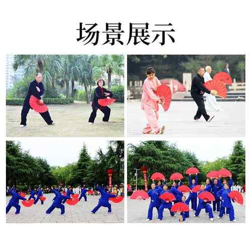 太极扇功夫扇一尺二塑料骨竹骨高档红色响扇成人晨练表演武术扇子