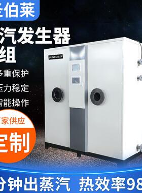 电蒸汽发生器机组厂家锅炉服装熨烫水泥养护蒸煮食品设备节能