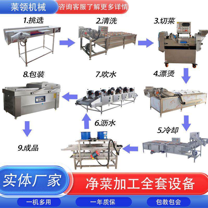 生姜去皮清洗机净菜全套设备蔬菜水果连续蒸煮漂烫机土豆清洗机器