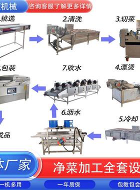 生姜去皮清洗机净菜全套设备蔬菜水果连续蒸煮漂烫机土豆清洗机器