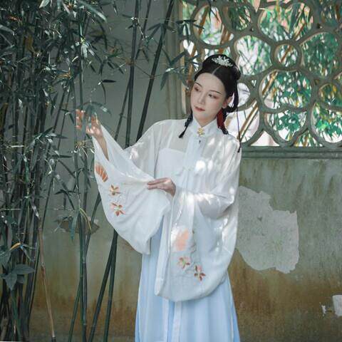 明制汉服女画屏学生白菜价立领绣花对襟纱衫学生春夏超仙套装裙