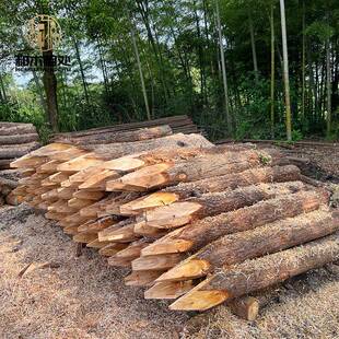林场直发河道打桩建筑木桩景观杉木桩工地木柱子工程防汛木