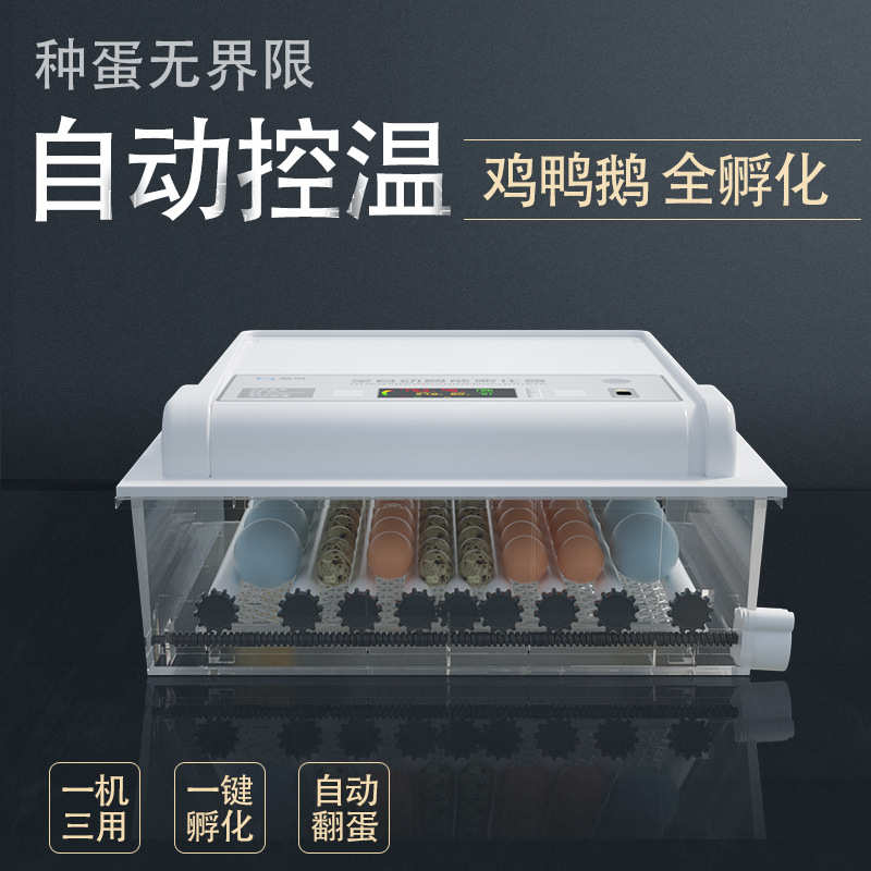 蓝奇孵化机家用小型鸡鸭鹅孵化器全自动智能孵蛋器孵化箱出口品质