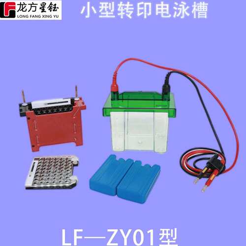 龙方星钰LF-ZY01转印电泳槽75×100mm转印面积