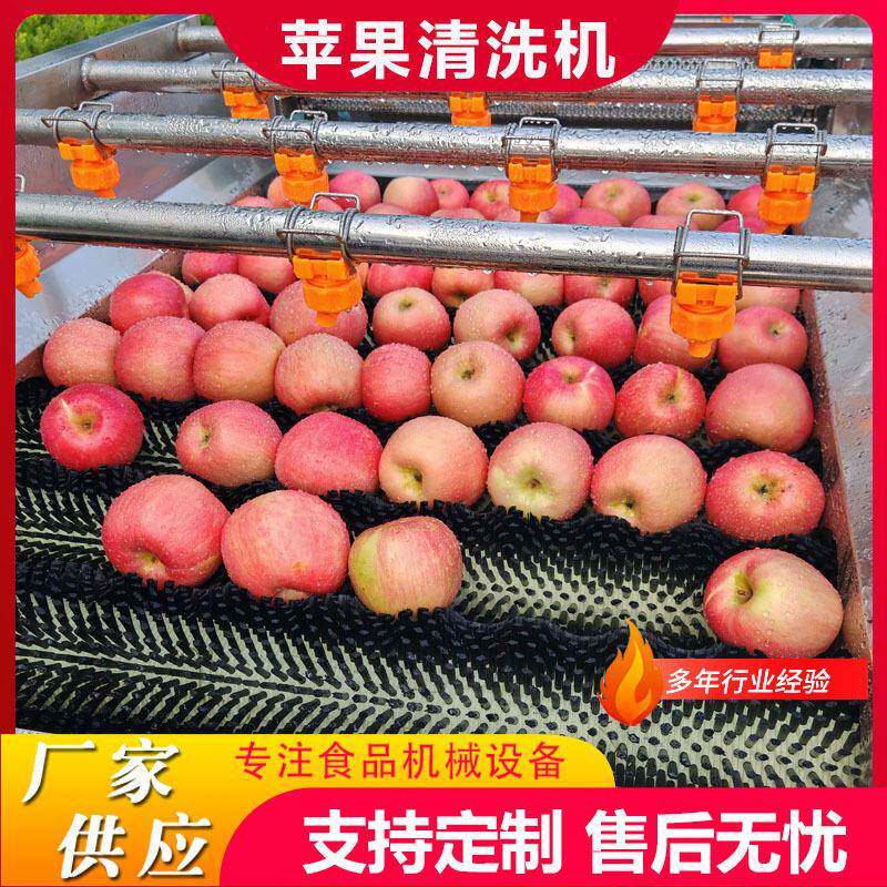 厂家现货平行毛辊清洗机全自动芒果去杂毛刷清洗机李子毛辊洗果机