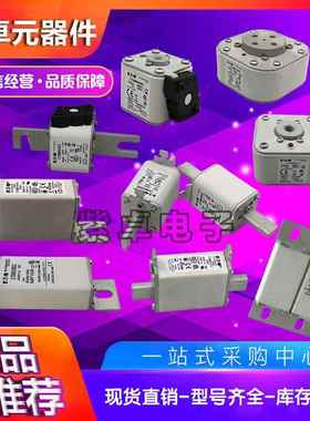 3170381217RZN0M3981170M3M982170M3983170M984170M3985保险丝