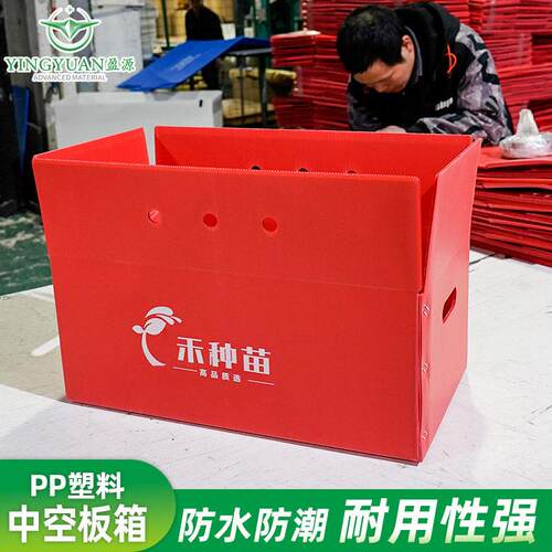 中空板周转箱塑料箱防水防潮加厚pp塑料育苗箱中空板