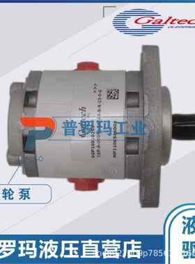 意大利GALTECH原装高泰克1SP/2SP/3SPGALTECH单联泵GALTECH多联泵