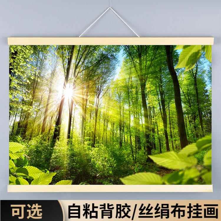 森林画树林树木海报背景墙贴画风阳光大自然绿树装饰挂画风景壁画图片