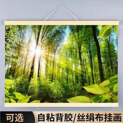 森林画树林树木海报背景墙贴画风阳光大自然绿树装饰挂画风景壁画