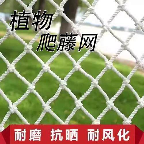 植物爬藤网丝瓜黄瓜葡萄架瓜果藤蔓花卉网格攀爬种植网月季牵引网
