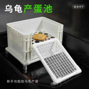 乌龟产蛋池繁殖箱晒台孵化宠物龟下蛋网格板黑白发色盒周转箱沙池