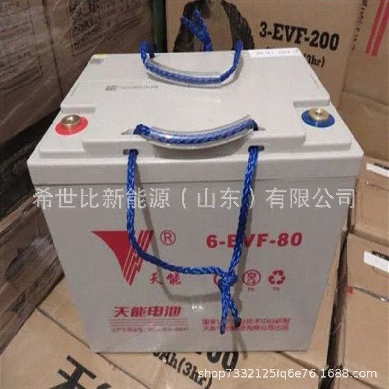 天能电池6--80电动汽车观光车叉车扫地车1280 蓄电池充电器