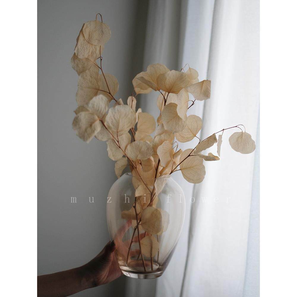 干 干燥花花束 客厅摆设ins天然真花高级玻璃花瓶轻奢摆件装饰品