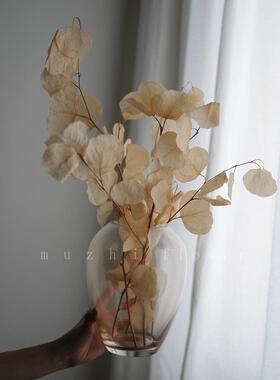 干花花束 客厅摆设ins天然真花高级玻璃花瓶轻奢摆件装饰品永生花
