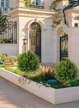 室外仿柏树，真地室内插可用都