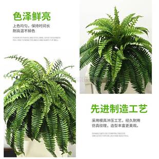 人造波士顿蕨仿真草 仿真蕨叶绿植室内盆栽客厅蕨类植物波斯草