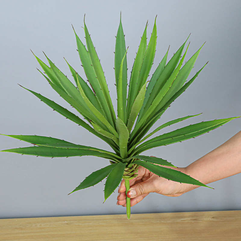 兰绿黄冠仿假人造剑麻龙舌兰热带植物广东批发盆栽真大厂家剑兰植