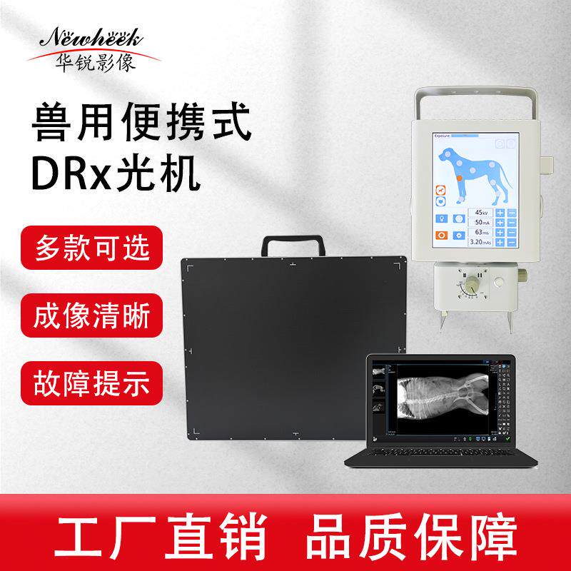 厂家供应兽医使用x光机检测设备X光机升级DR成像系统数字DR拍片机